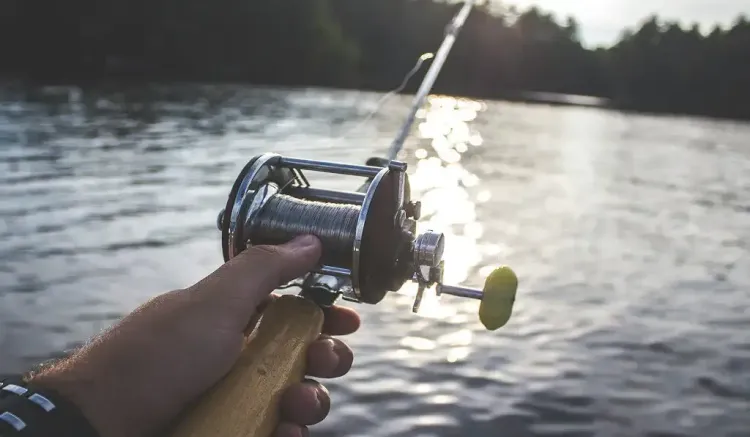 Рыбалка и охота